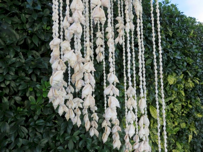 TRES GRANDE SUSPENSION EN COQUILLAGE TYPIQUE ANNEES 70 VINTAGE