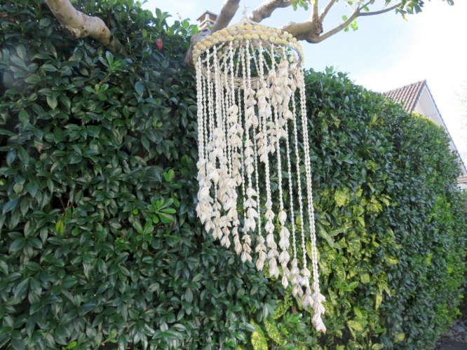 TRES GRANDE SUSPENSION EN COQUILLAGE TYPIQUE ANNEES 70 VINTAGE