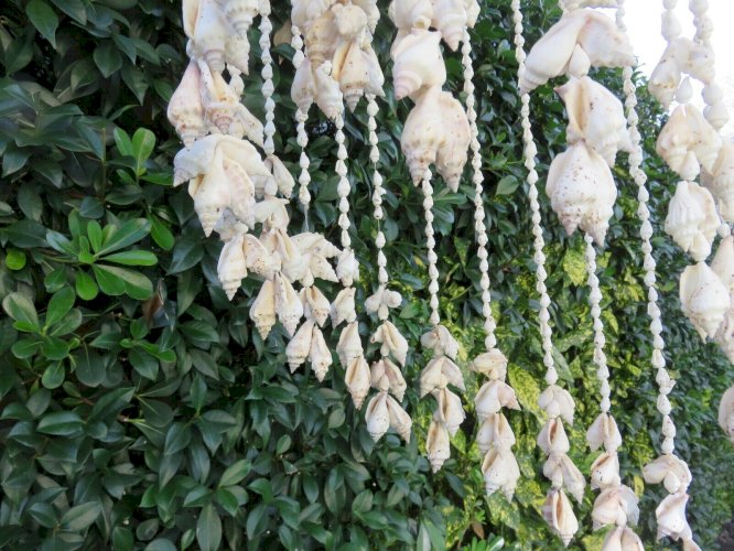 TRES GRANDE SUSPENSION EN COQUILLAGE TYPIQUE ANNEES 70 VINTAGE