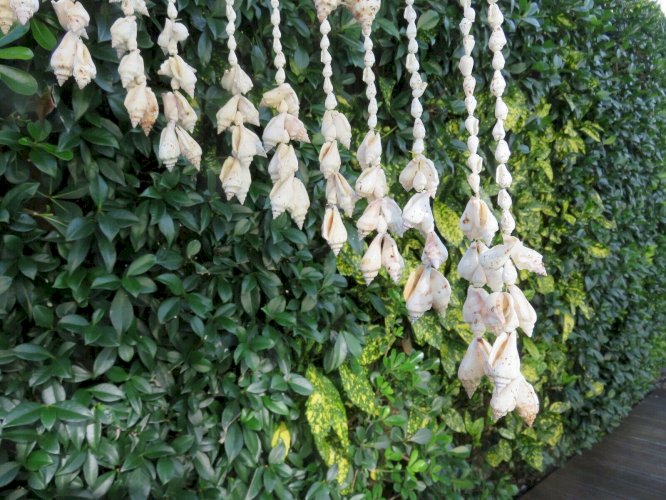 TRES GRANDE SUSPENSION EN COQUILLAGE TYPIQUE ANNEES 70 VINTAGE