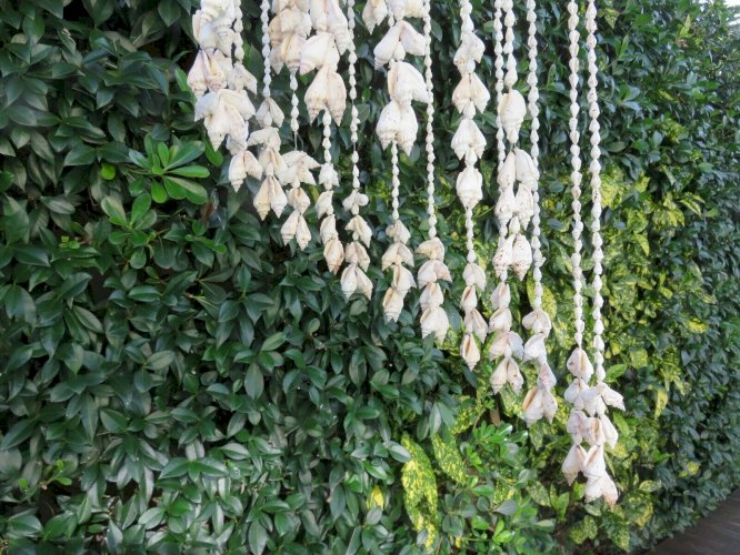 TRES GRANDE SUSPENSION EN COQUILLAGE TYPIQUE ANNEES 70 VINTAGE