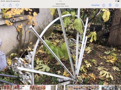 Very pretty wrought iron door marquee with scrolls.