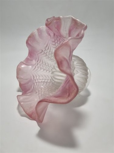 Tulipe