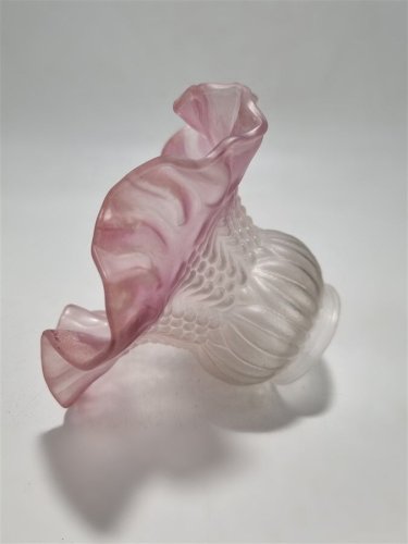 Tulipe
