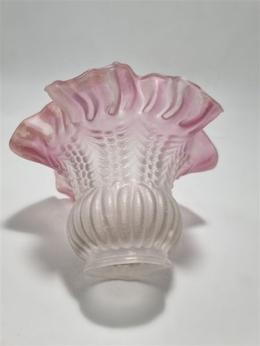 Tulipe