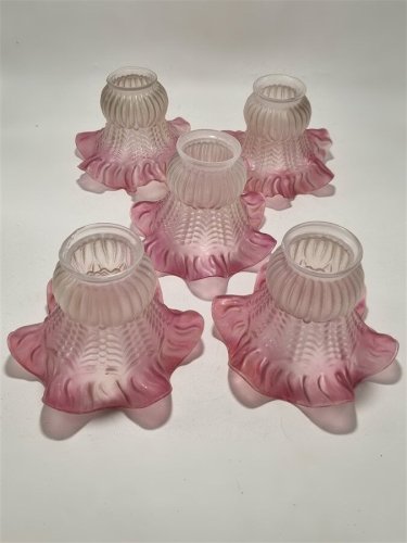 Tulipe