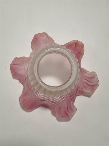 Tulipe