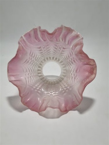 Tulipe