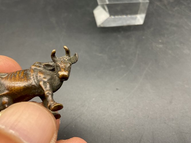 Vache bronze de Vienne  Austrian Wien cold painted .