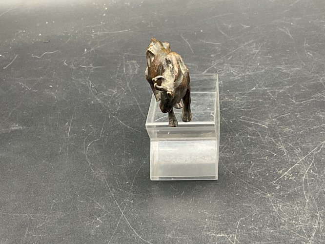 Vache bronze de Vienne  Austrian Wien cold painted .