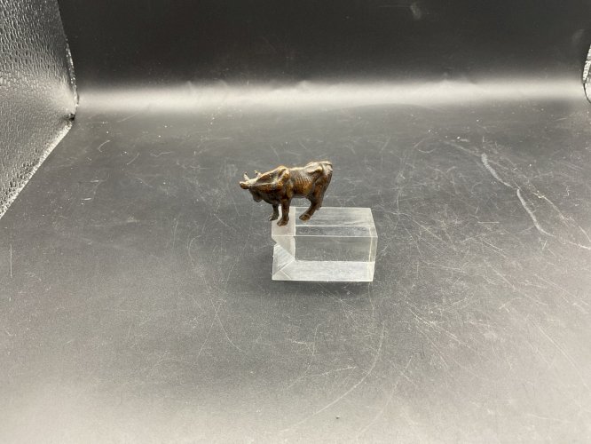 Vache bronze de Vienne  Austrian Wien cold painted .