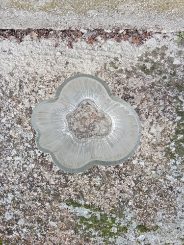 Vase cumulus de Markku Salo
