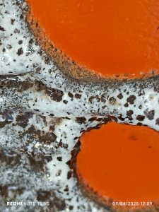 dot