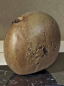 dot
