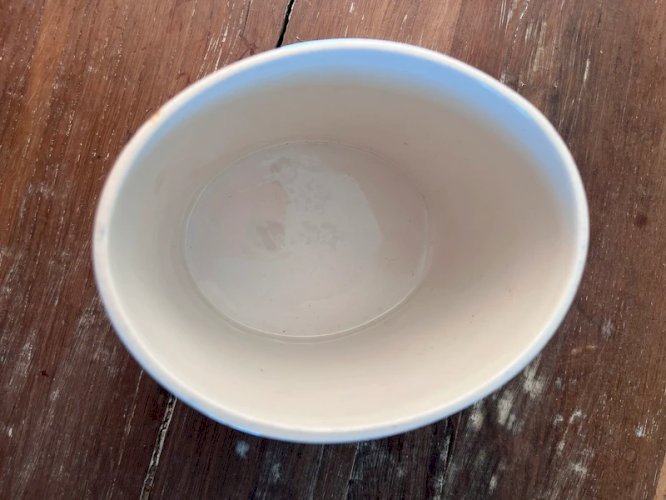 Vase Staffordshire Old Foley en faïence anglaise
