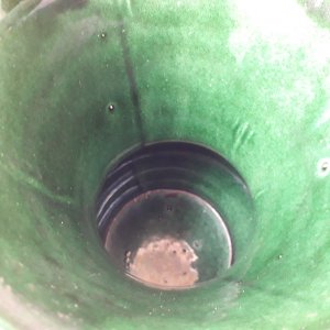 dot