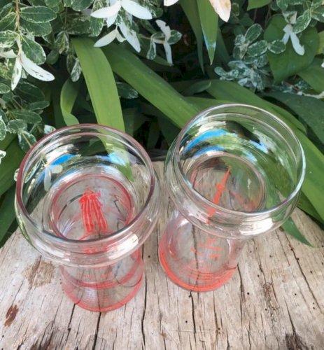 Verres vintage CN Tower