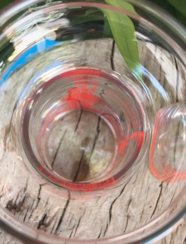 Verres vintage CN Tower