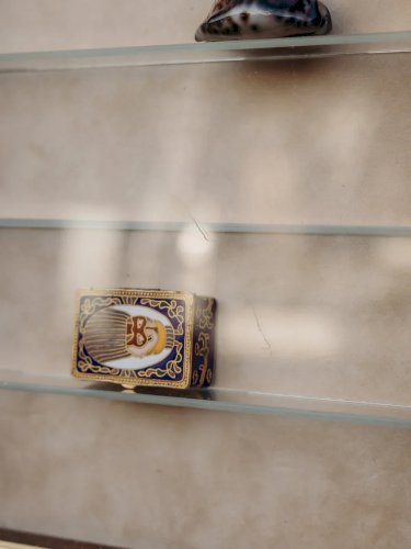 Victoria, la petite vitrine murale N°113