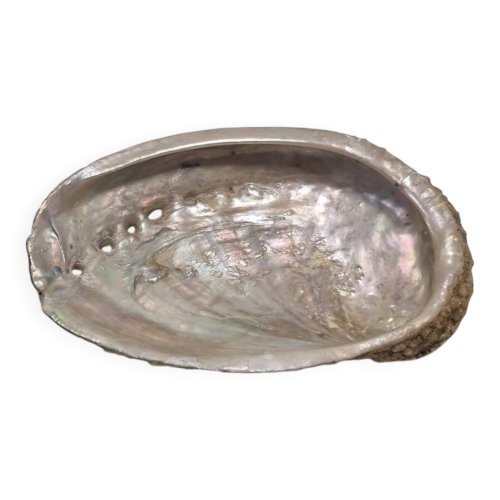 Vide poche coquillage