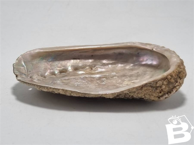 Vide poche coquillage