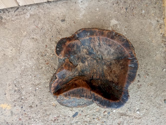 Vide poche en bois ancien