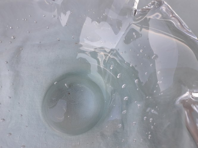 Vide poche en cristal Schneider
