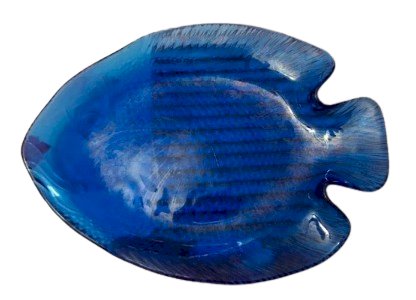 Vide poche : poisson bleu