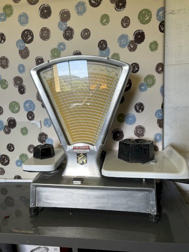 Vielle balance fregonaro