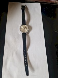 Vintage OMEGA Geneve Automatic Silver Dial 20mm Women's