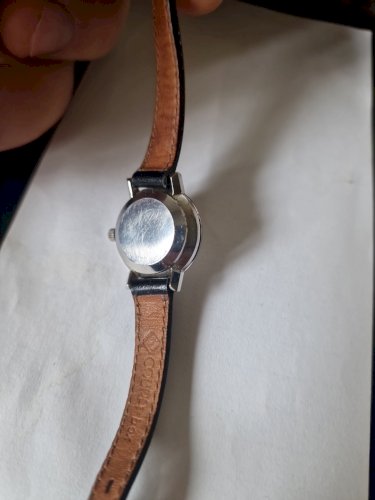 Vintage OMEGA Geneve Automatic Silver Dial 20mm Women's