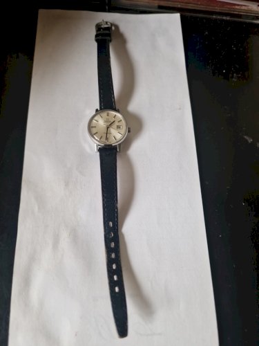 Vintage OMEGA Geneve Automatic Silver Dial 20mm Women's