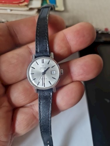 Vintage OMEGA Geneve Automatic Silver Dial 20mm Women's