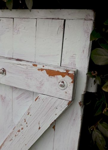 Petit Volet ancien bois H104xL54cm