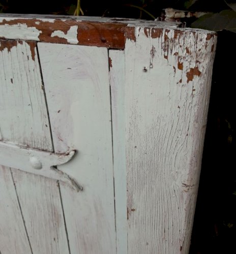 Petit Volet ancien bois H104xL54cm